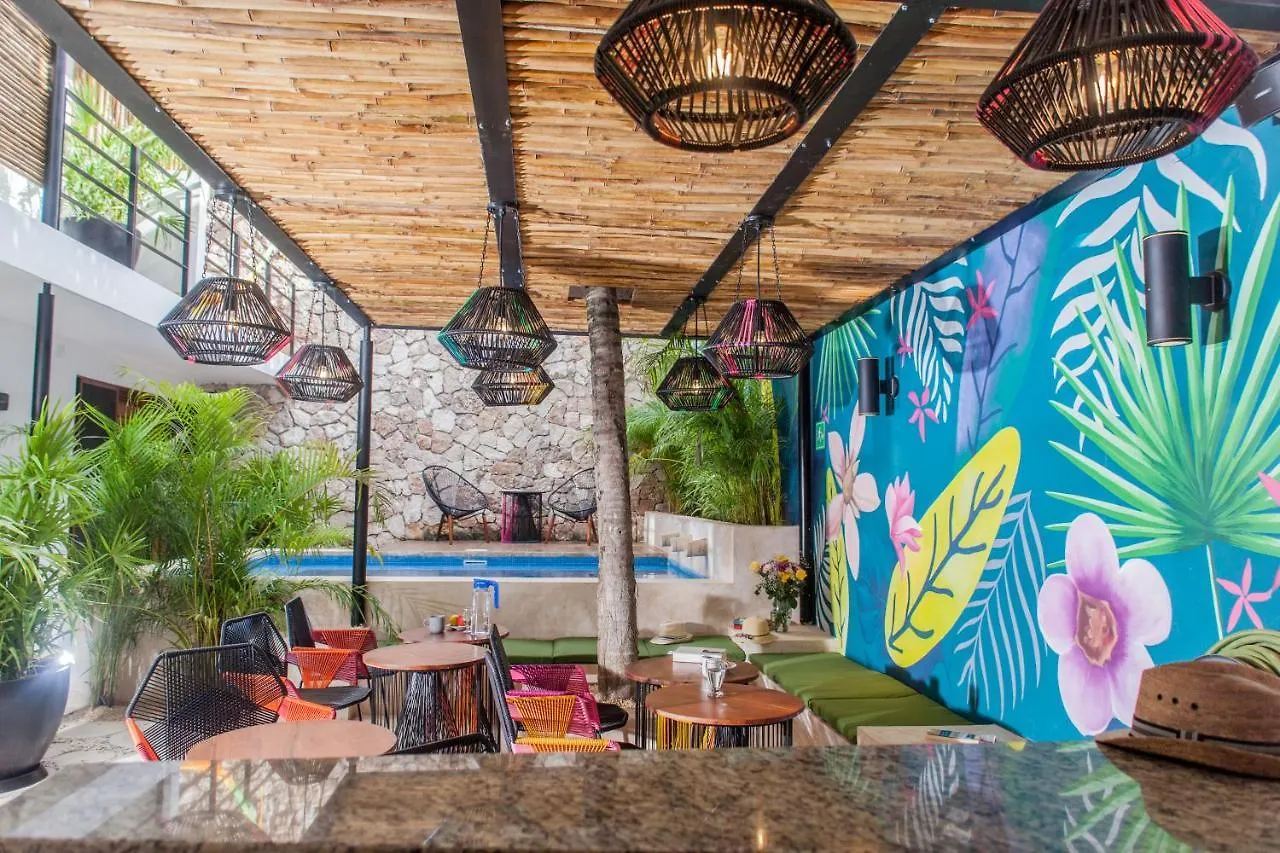 ***  Latino Hotel Boutique Tulum Mexico