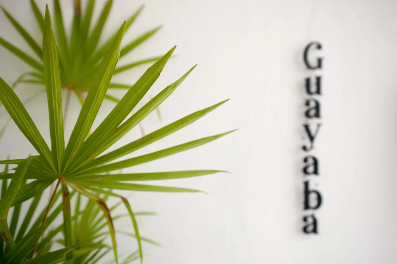 Latino Hotel Boutique Tulum Meksyk
